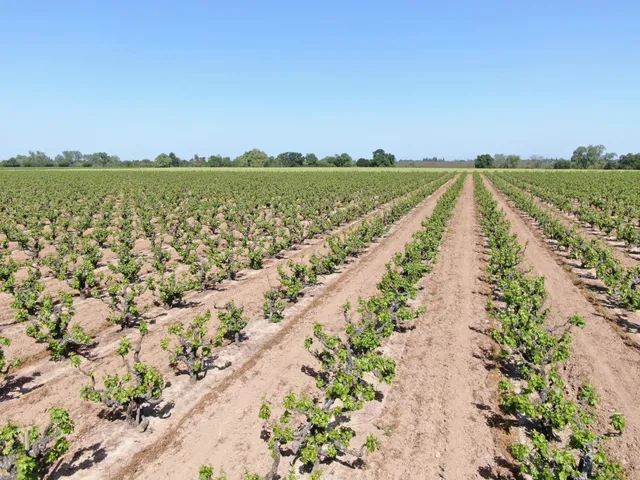 a view of a lake with a city view