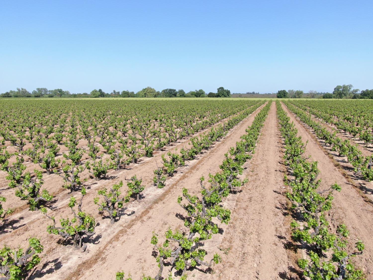 19991 North Tretheway Road Acampo, CA 95220 - Photo 4 of 5 a view of a lake with a city view
