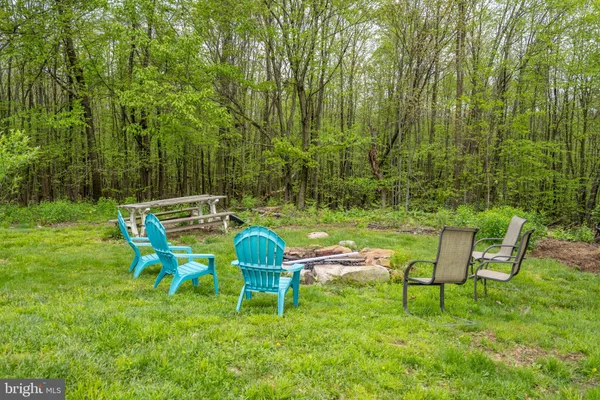 a view of a garden from a living room