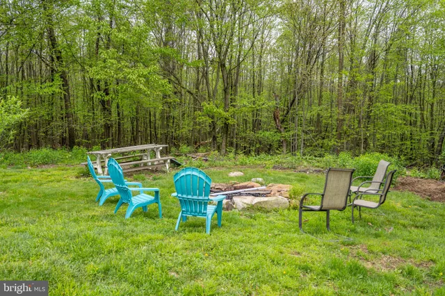 a view of a garden from a living room
