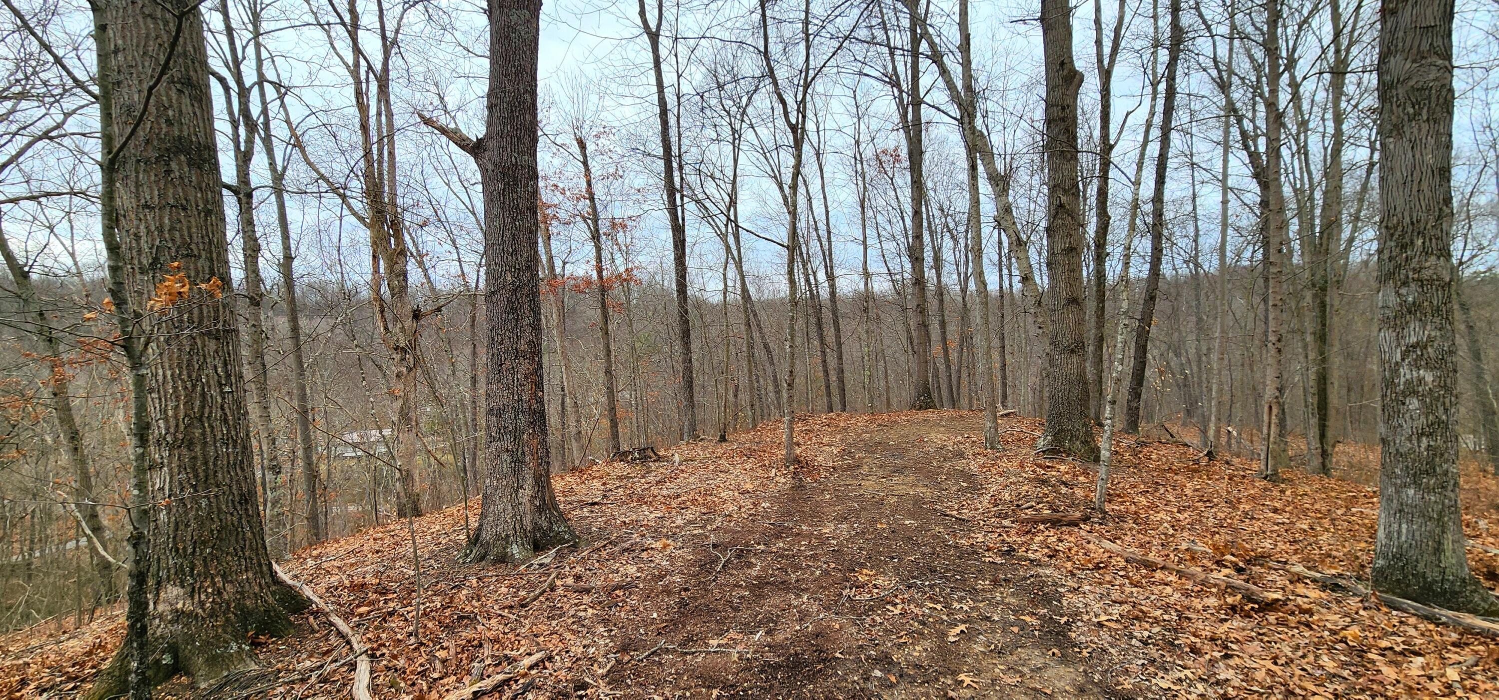 0 Edmundson Road, Unit TRACT 4 AT BIG TIMBER) Vinton, OH 45686 - Photo 60 of 67 20250307_120142