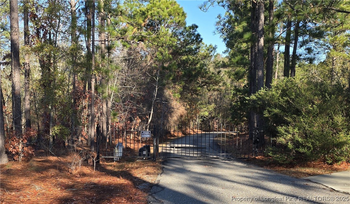 6518 Stone Mountain Farm Road Fayetteville, NC 28311 - Photo 2 of 5 a view of street with trees