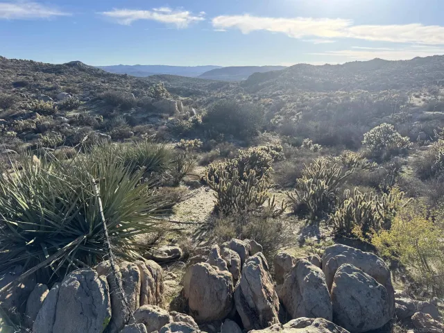 a view of a mountain in the distance in a field