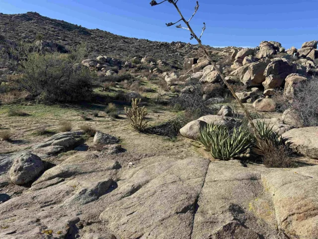a view of a large building with a mountain in the background