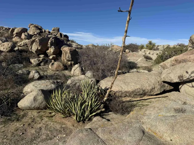 a view of a large building with mountains in the background