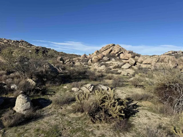 a view of a dry yard with mountains in the background