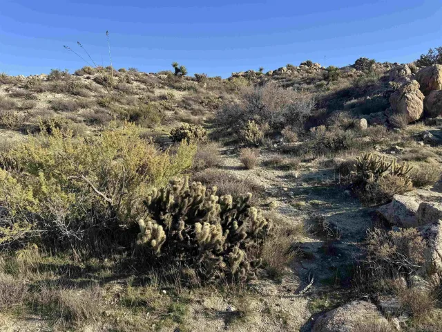 a view of a building with mountains in the background