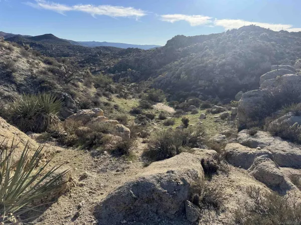 a view of a mountain