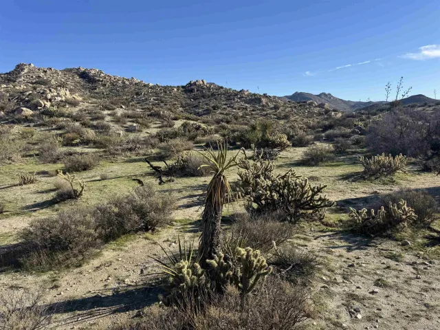 a view of a large building with mountains in the background