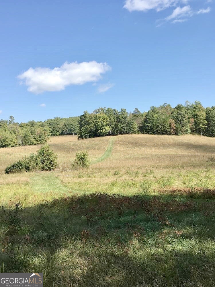 0 Donley Road Murphy, NC 28906 - Photo 13 of 21