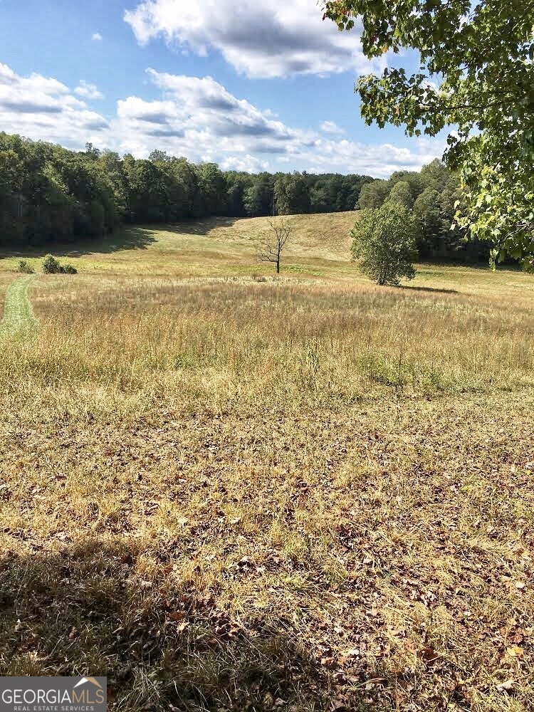 0 Donley Road Murphy, NC 28906 - Photo 14 of 21