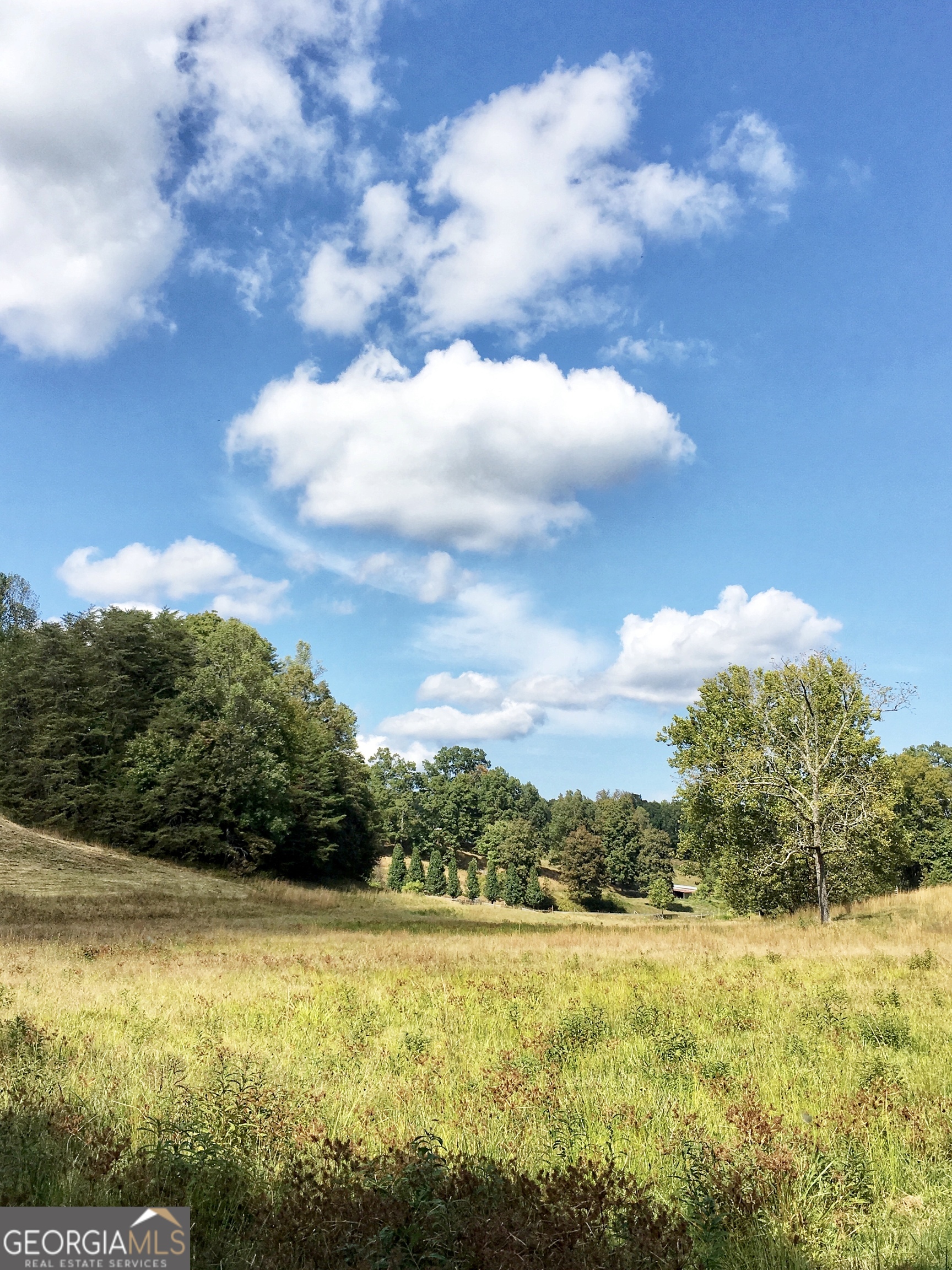 0 Donley Road Murphy, NC 28906 - Photo 15 of 21