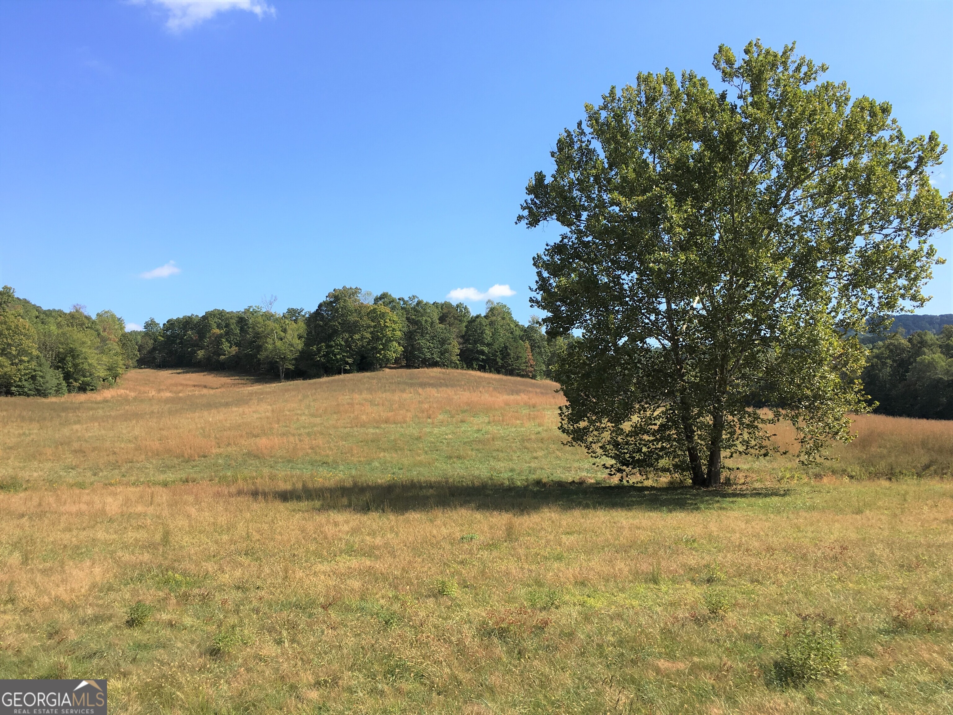0 Donley Road Murphy, NC 28906 - Photo 16 of 21