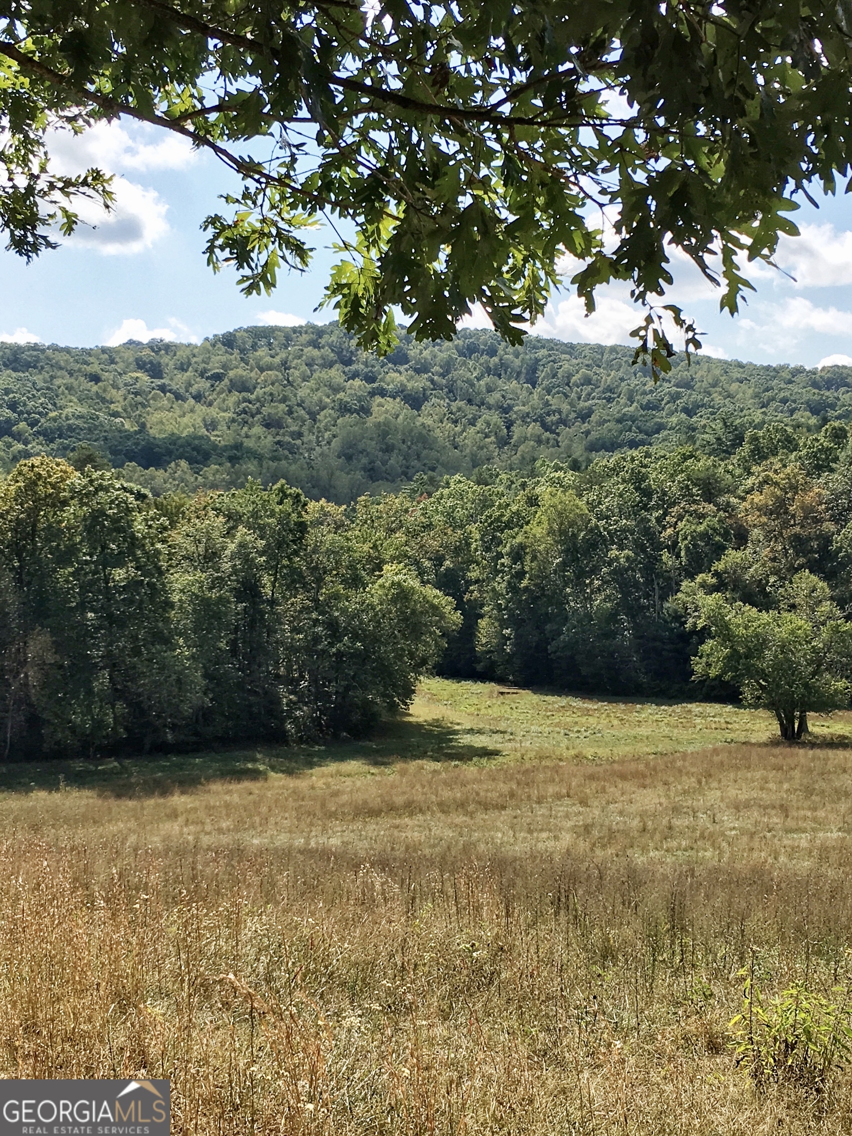 0 Donley Road Murphy, NC 28906 - Photo 17 of 21
