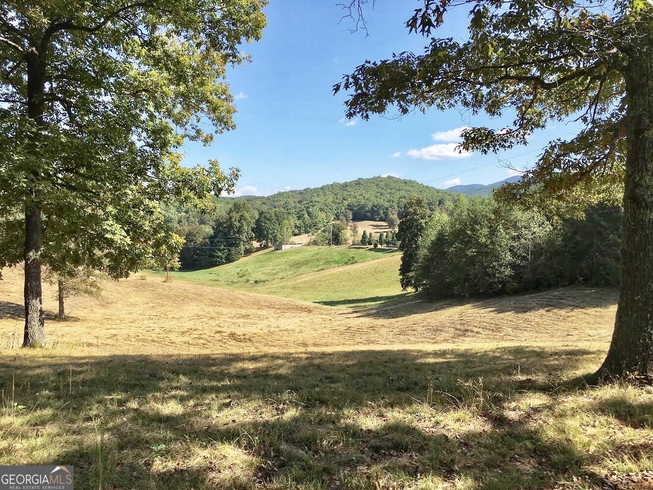 0 Donley Road Murphy, NC 28906 - Photo 3 of 21