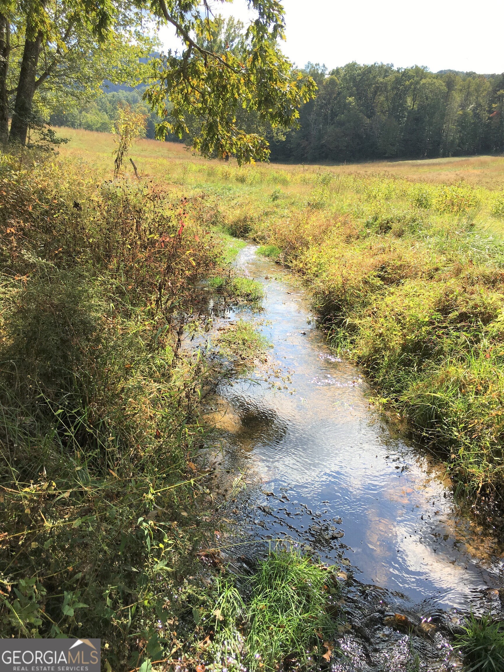 0 Donley Road Murphy, NC 28906 - Photo 7 of 21
