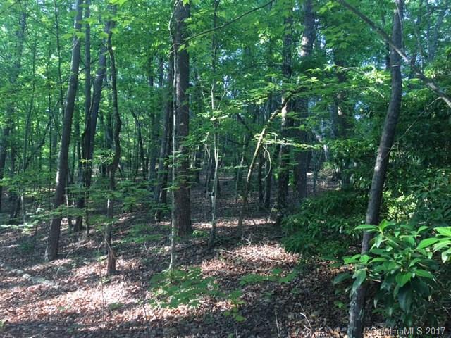Lot 8 Calhoun Trail Lake Rutherfordton, NC 28139 - Photo 2 of 8