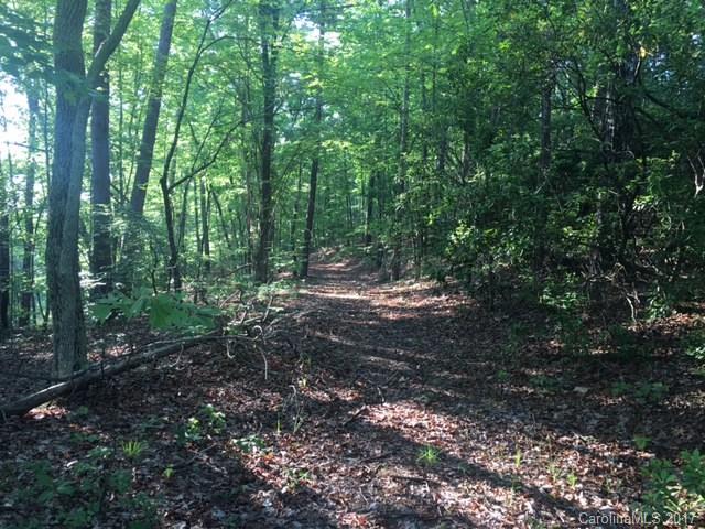 Lot 8 Calhoun Trail Lake Rutherfordton, NC 28139 - Photo 3 of 8