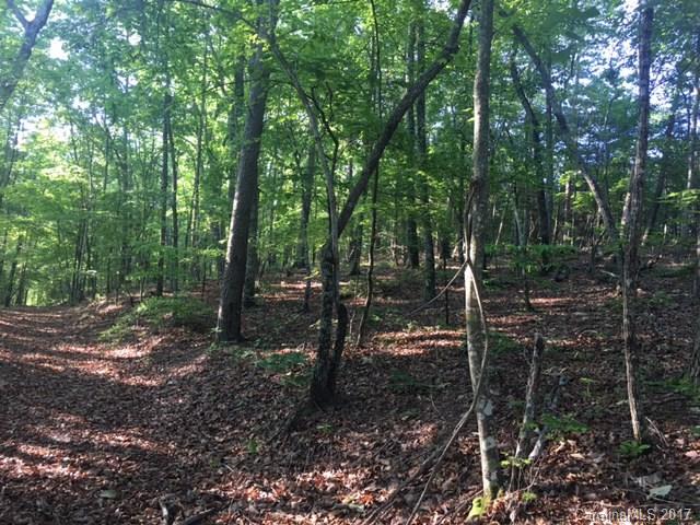 Lot 8 Calhoun Trail Lake Rutherfordton, NC 28139 - Photo 4 of 8