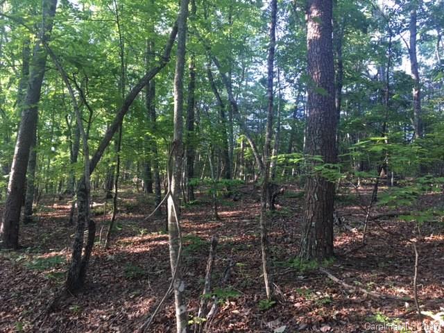 Lot 8 Calhoun Trail Lake Rutherfordton, NC 28139 - Photo 5 of 8