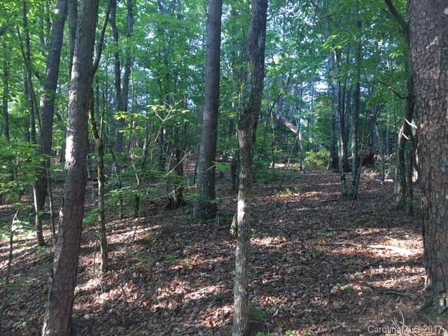Lot 8 Calhoun Trail Lake Rutherfordton, NC 28139 - Photo 6 of 8