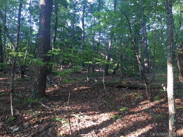 Lot 8 Calhoun Trail Lake Rutherfordton, NC 28139 - Photo 7 of 8