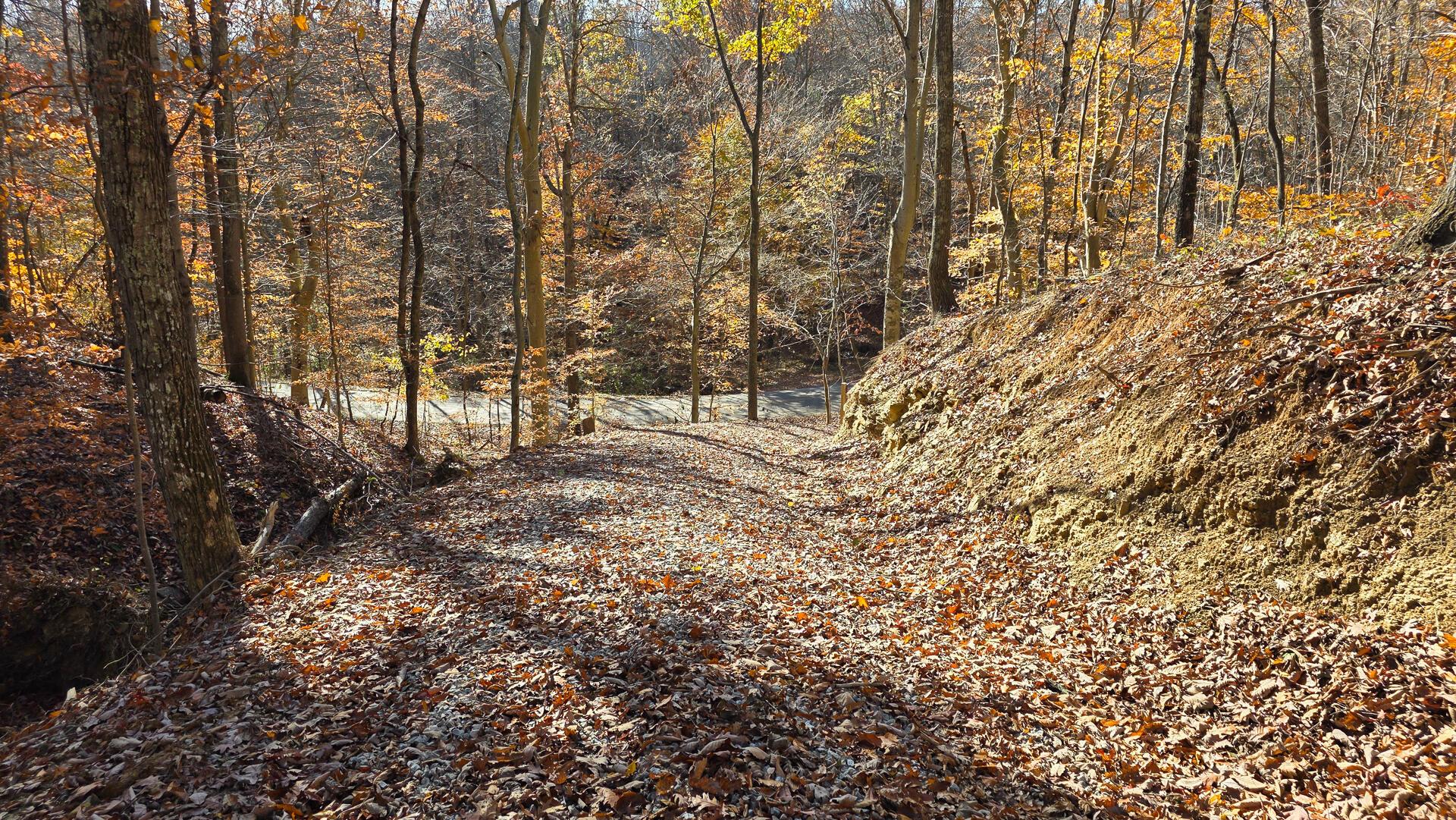 680 Nibert Road, Unit PONDS POPLAR RIDGE TRACT 10) Gallipolis, OH 45631 - Photo 12 of 46 CT-12