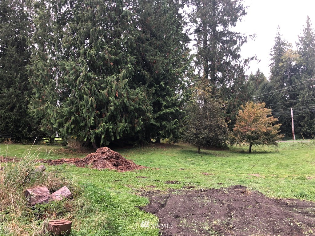 17706 Butler Road Snohomish, WA 98290 - Photo 14 of 22 a backyard of a house with lots of green space and fountain