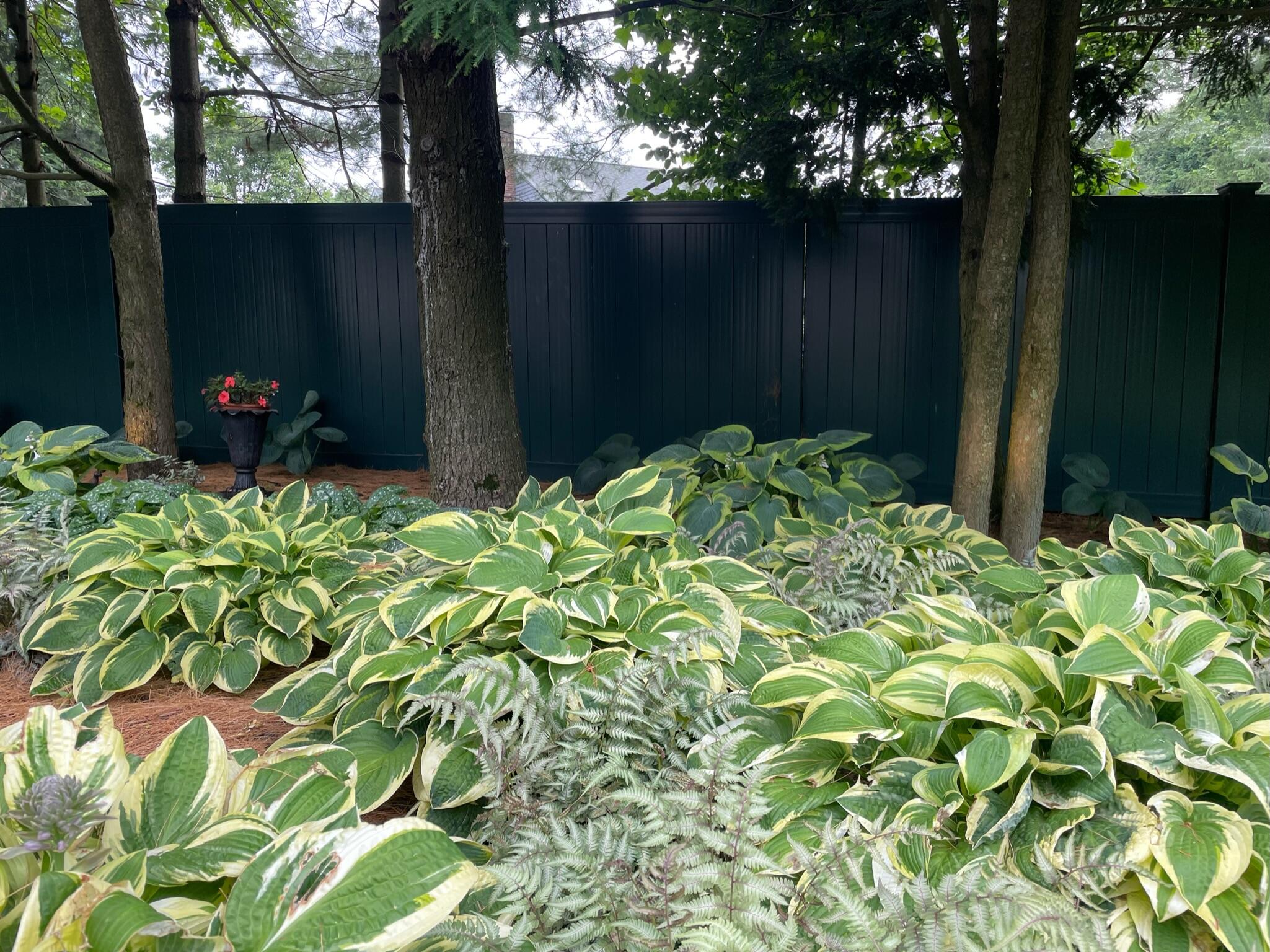 10 Wakeman Road Darien, CT 06820 - Photo 34 of 38 a backyard of a house with lots of green space