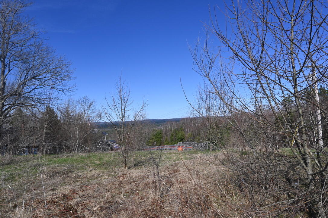 4315 Airline Road Baileyville, ME 04694 - Photo 58 of 58 02B22C3B-DF02-43BD-9B13-72FE827BE7E8_1_1