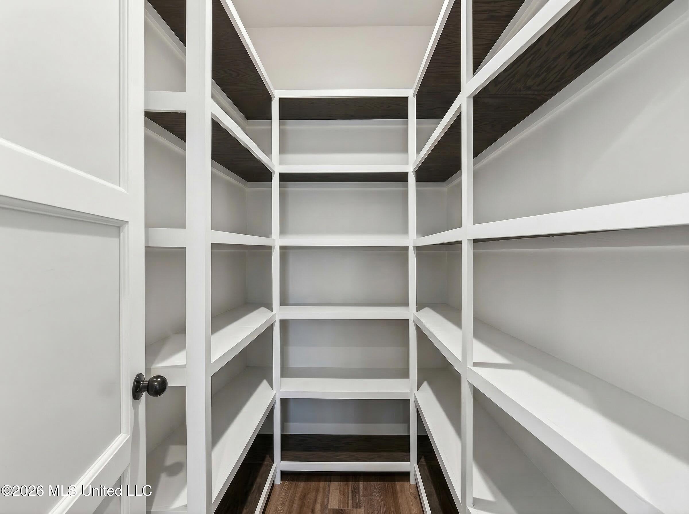 24111 Ryland Ridge Road Saucier, MS 39574 - Photo 26 of 82 empty_pantry_Nano_Banana_2_48066