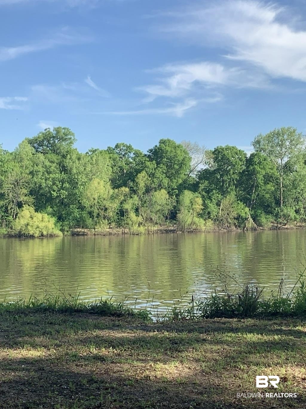 87 Sandy Bottoms Road Gainestown, AL 36540 - Photo 5 of 8