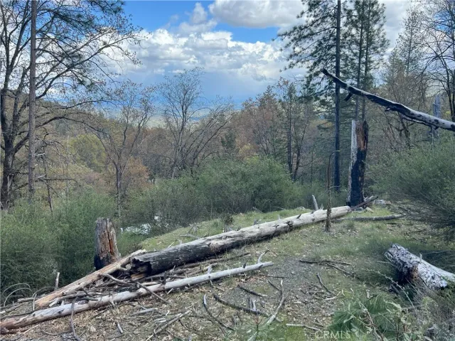 a backyard of a house with a yard and outdoor space