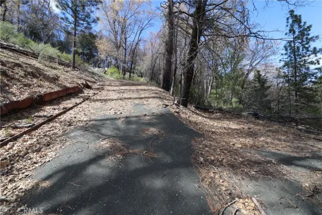 a view of a yard with trees