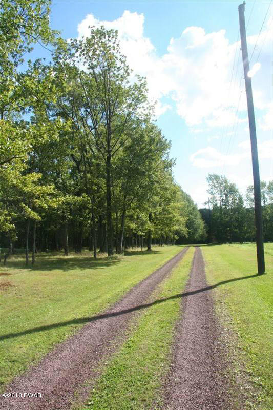 263 Lake Quinn Road Waymart, PA 18472 - Photo 34 of 50