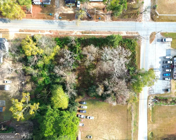 a view of a yard with plants