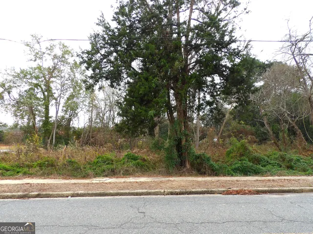 a view of a yard from a window