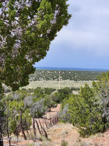 $59,900 | 0 North Tbd Drive, Unit 9, St. Johns, AZ 85936