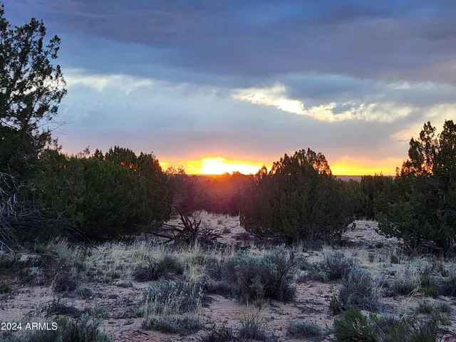 $59,900 | 0 North Tbd Drive, Unit 9, St. Johns, AZ 85936