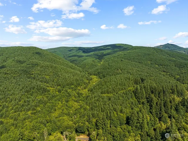 a view of a lush green space with sea