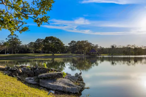 a body of water with a tree in the background