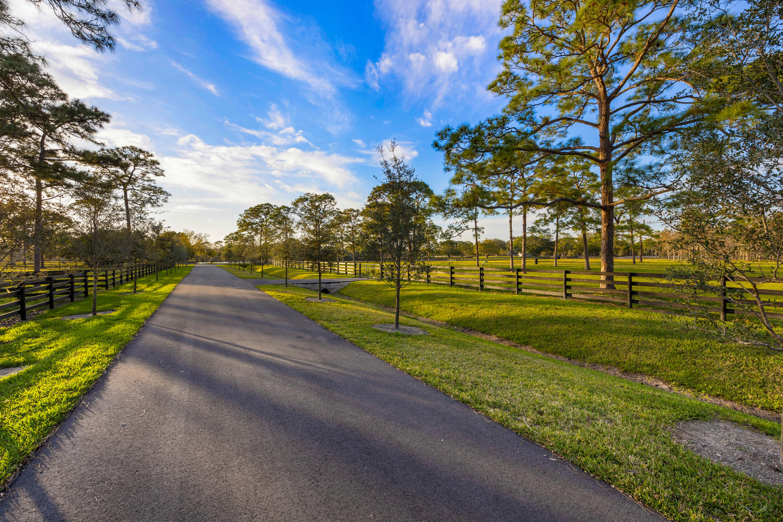 20000 Mack Dairy Road Jupiter, FL 33478 - Photo 21 of 32 a view of road with houses