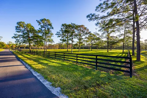 a view of a park with large trees