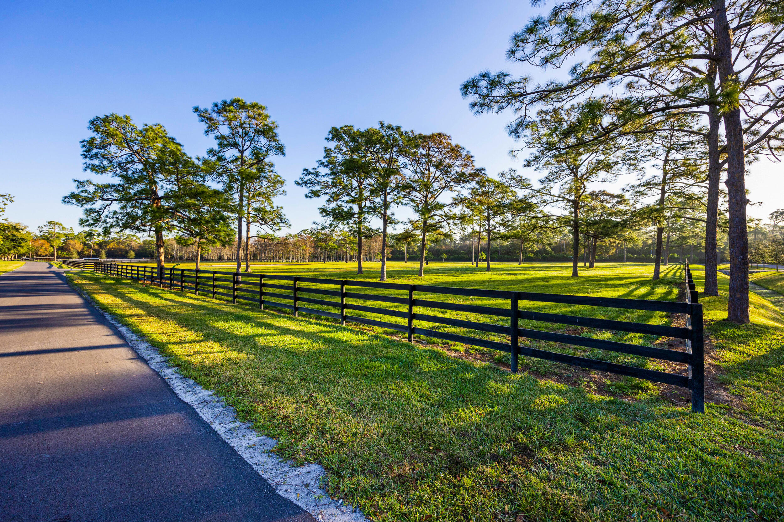 20000 Mack Dairy Road Jupiter, FL 33478 - Photo 22 of 32 a view of a park with large trees