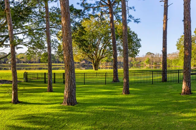 a view of a park with kids park
