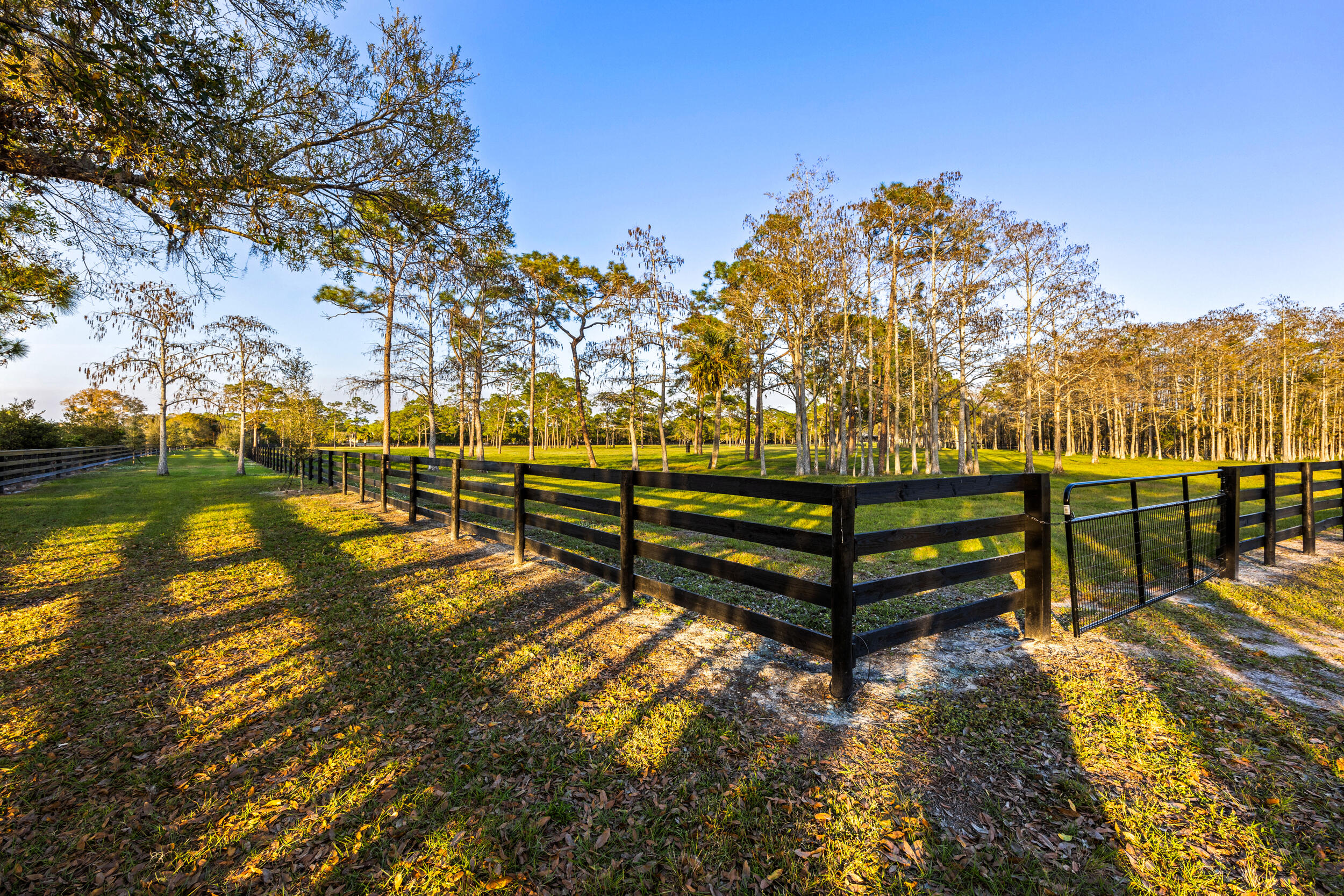 20000 Mack Dairy Road Jupiter, FL 33478 - Photo 24 of 32 a view of outdoor space with garden and trees