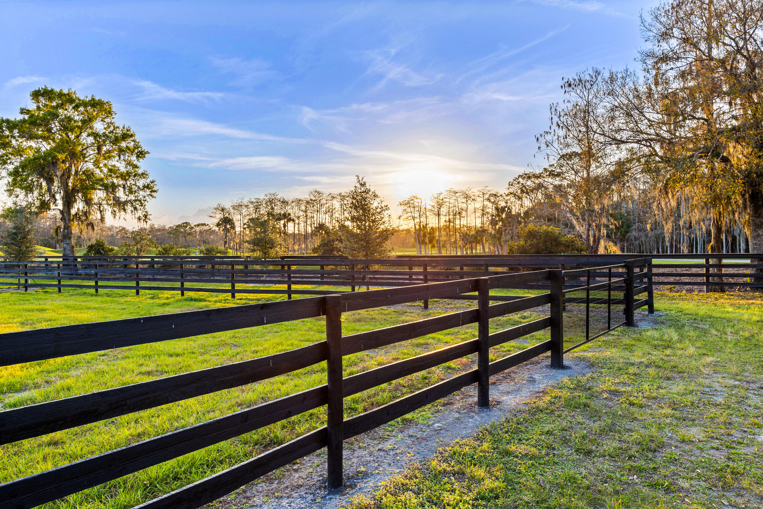 20000 Mack Dairy Road Jupiter, FL 33478 - Photo 25 of 32 a view of outdoor space with swimming pool and trees