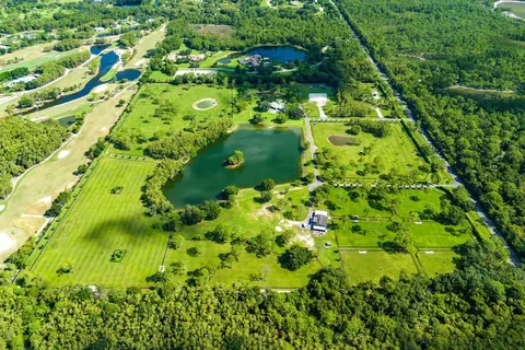 a close up of a garden