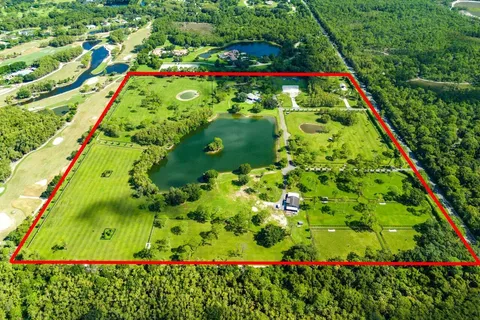 a view of plant garden