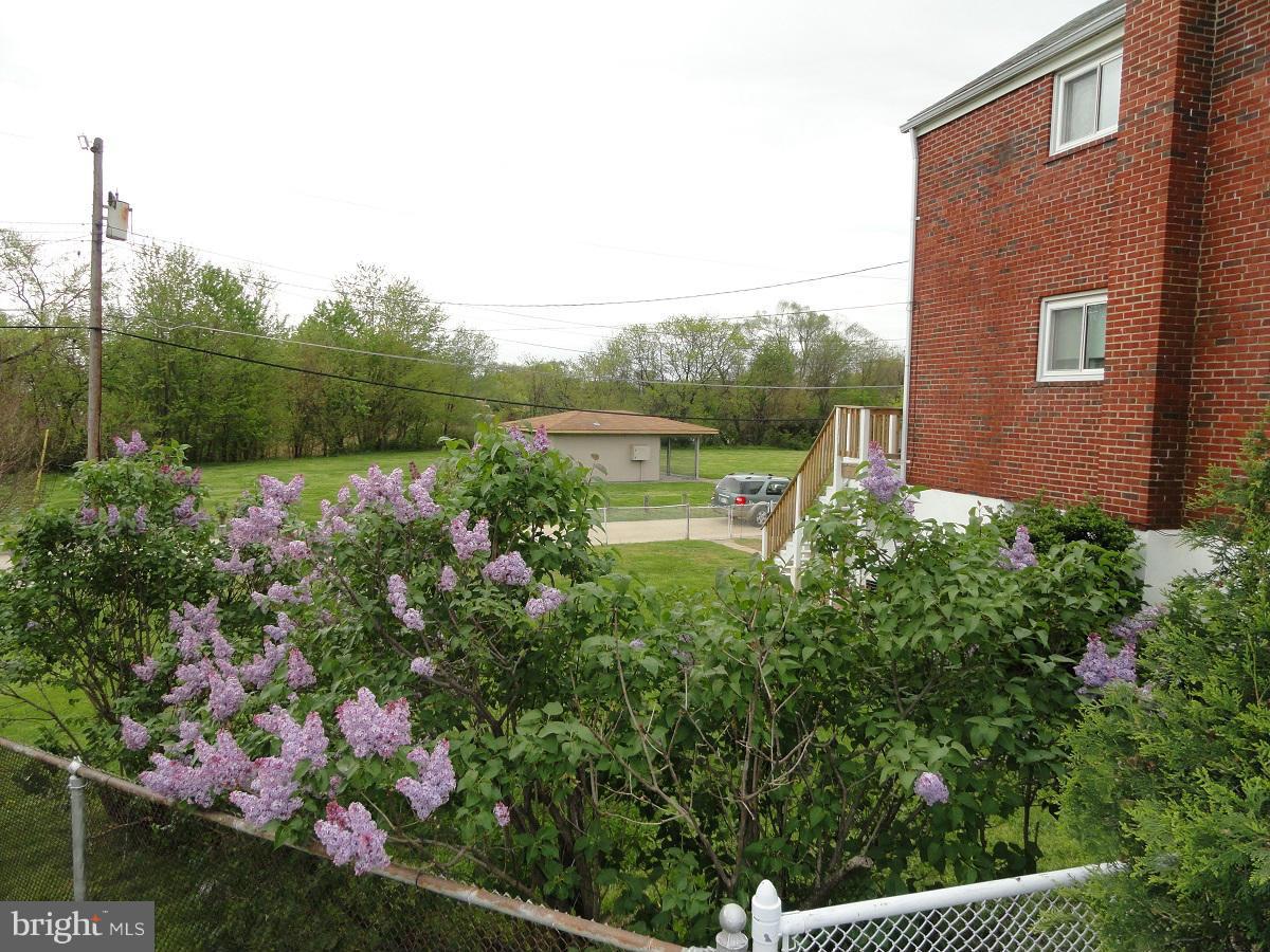 7833 Scholar Road Baltimore, MD 21222 - Photo 22 of 30 Plantings include Lilac, Azalea, Roses, Prunus,